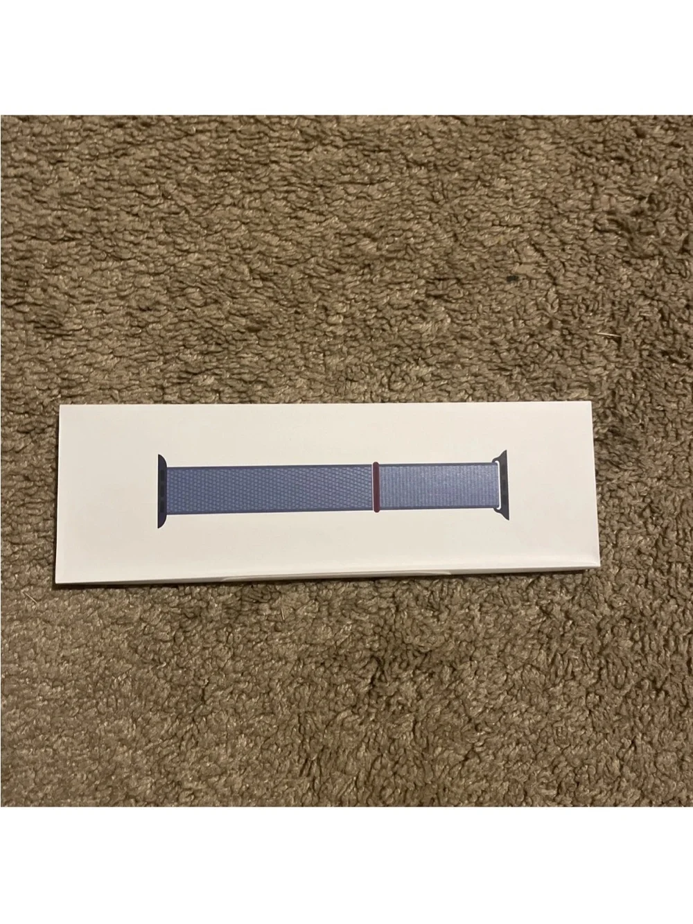 Apple Silver Smartwatch with Light Blue Woven Band